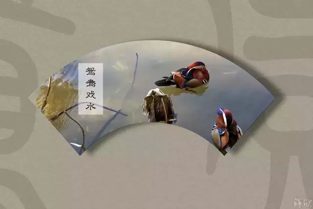 1455763503835794.jpg 640.webp.jpg