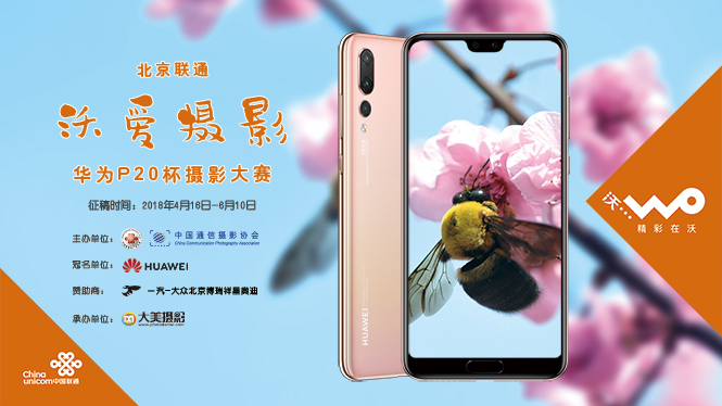北京联通华为杯手机摄影大赛665-374.jpg